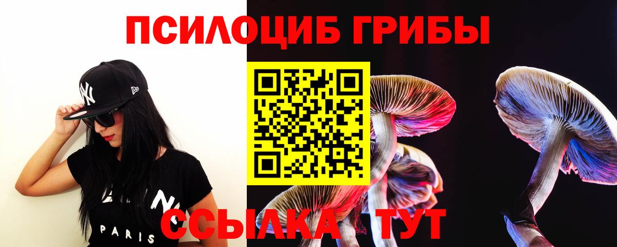 Галлюциногенные грибы мицелий Лабытнанги